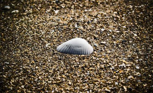 photography_3_20150830_1268016783