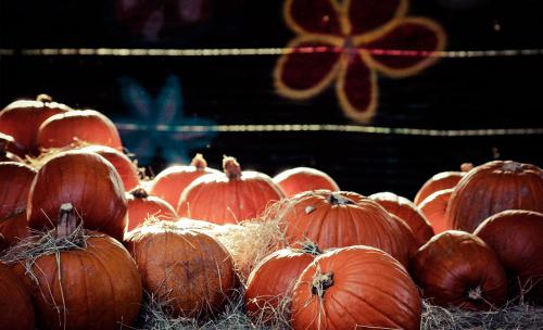 photography_5_20150830_1066457746